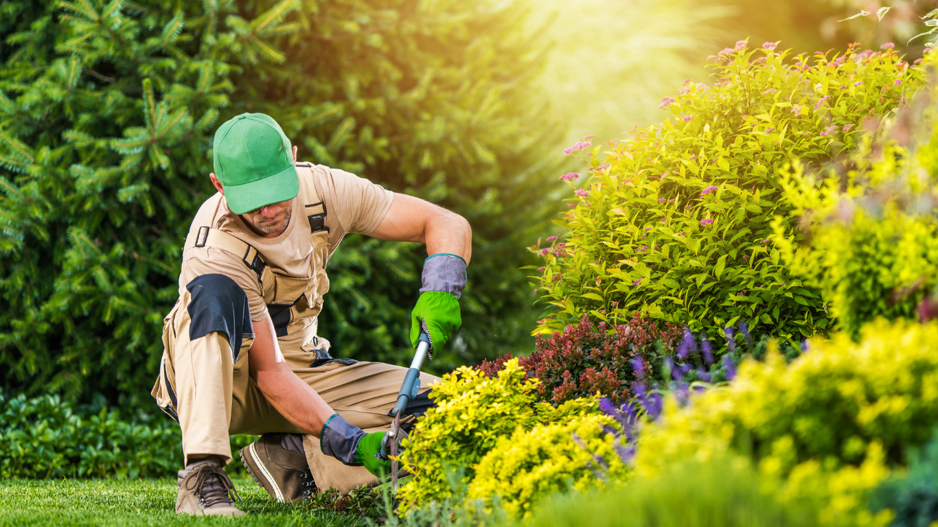 Plantation d’arbres et arbustes locaux dans un jardin à Bègles