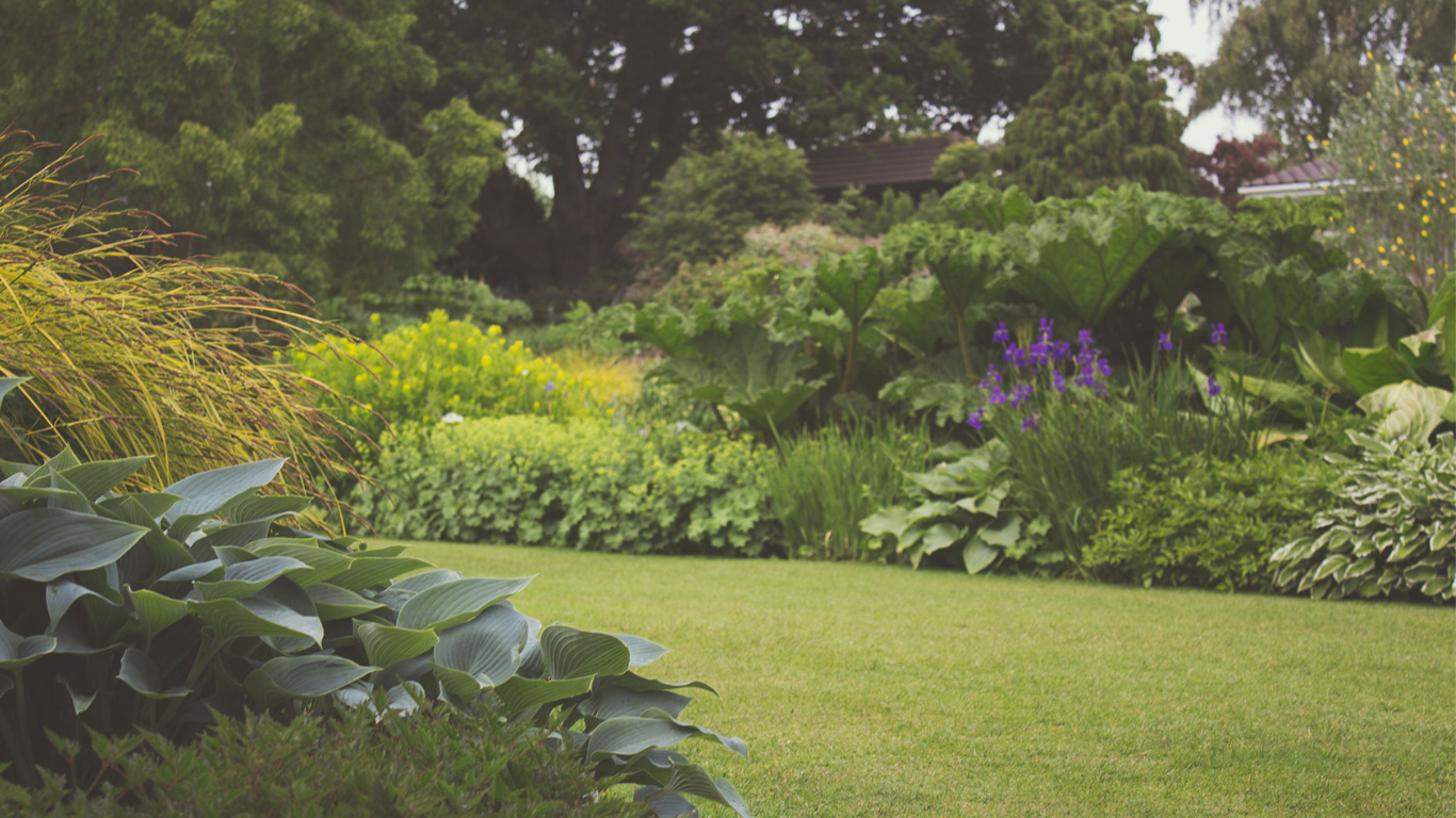 Aménagement paysager avec des arbres fruitiers et des arbustes à Bègles pour un jardin esthétique.