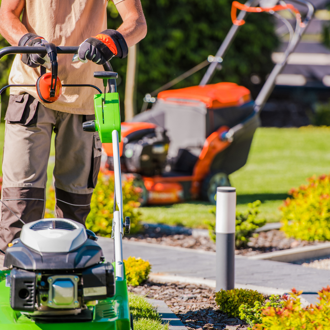 tonte de pelouse professionnelle à libourne 