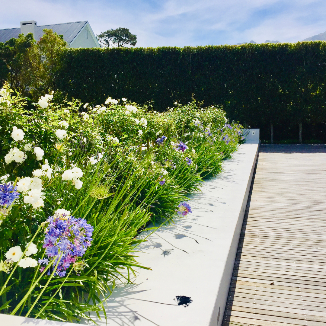 Exemple de création de jardin avec arbres et fleurs par Virgile Espaces Verts à Bègles