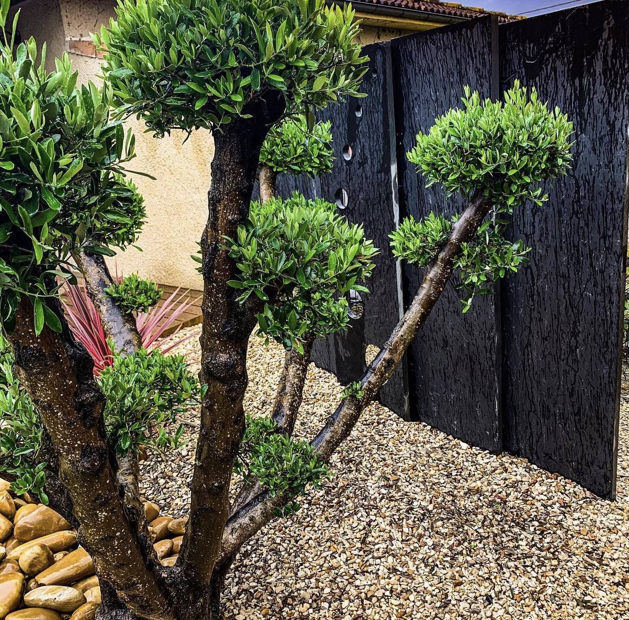 Massif Paysager Méditerranéen au Cap-Ferret : Élégance Naturelle