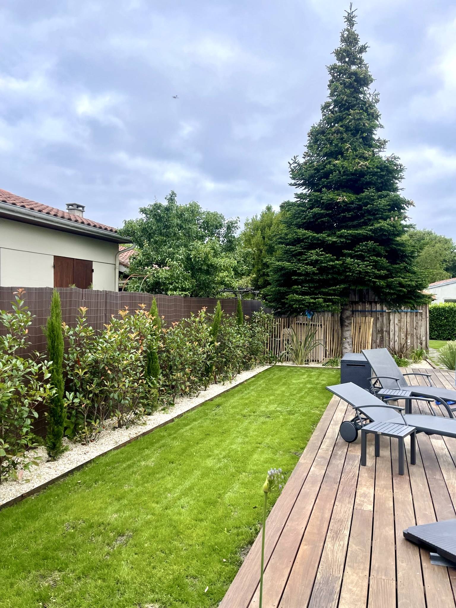 Transformation Paysagère à Blanquefort : Création d'un Gazon avec Massif, Plantations et Dalle en Travertin 