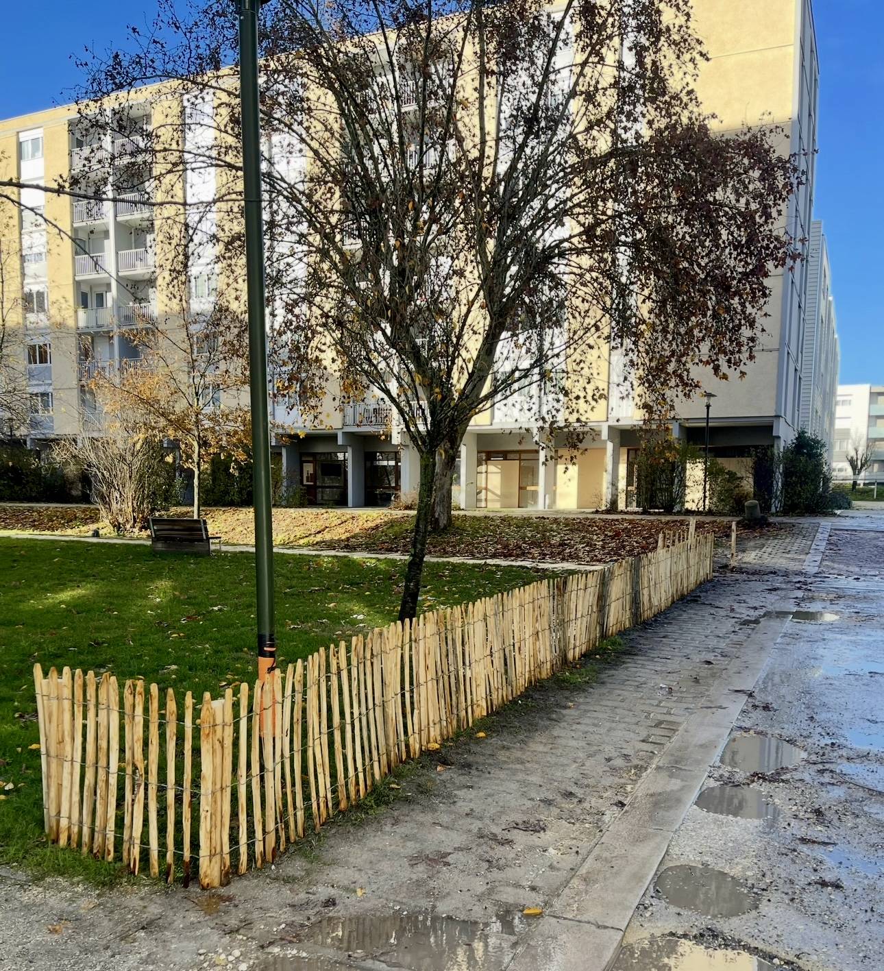 Pose de ganivelle en châtaignier à Bègles pour résidence collective – clôture naturelle et esthétique