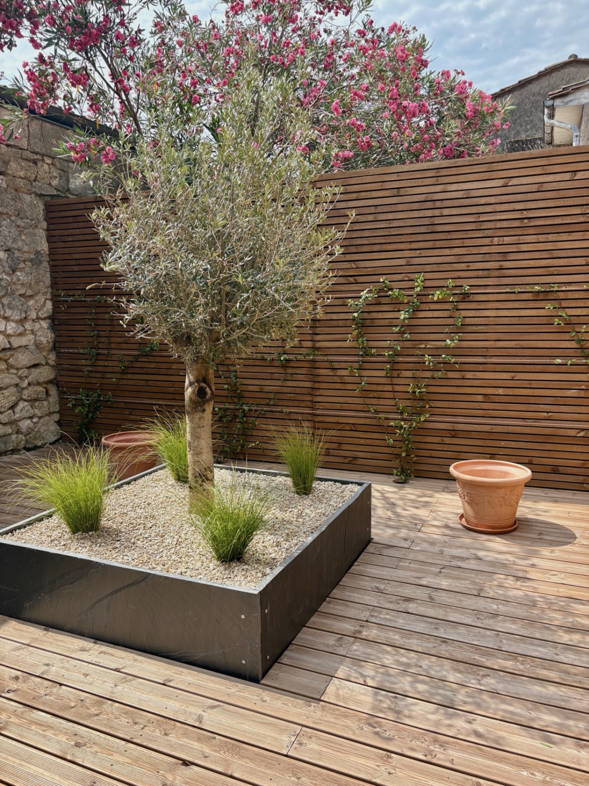 Aménagement cour de ville avec olivier, carex et jasmin étoilé à Libourne