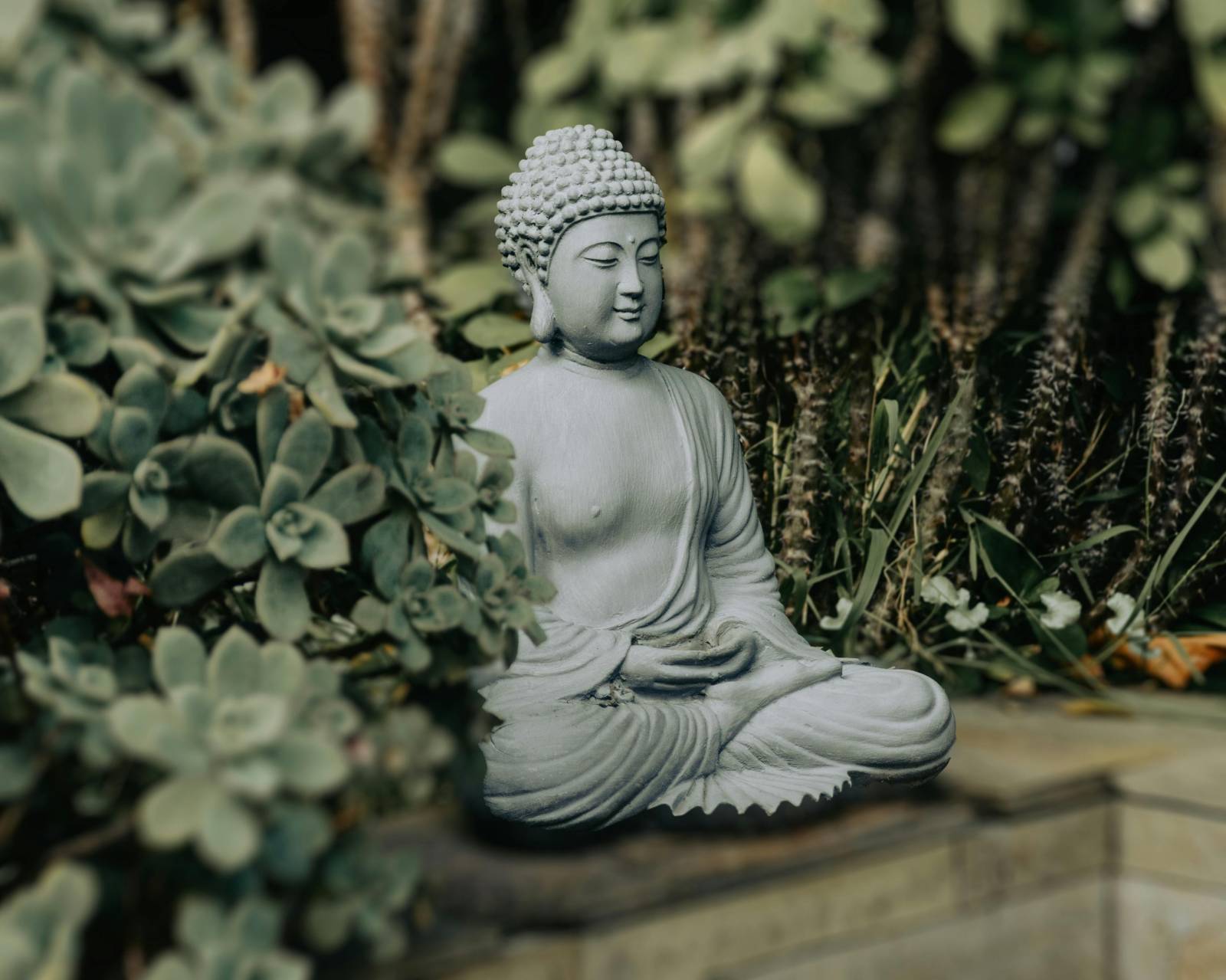 Création de jardins japonais à Libourne : Éléments aquatiques et aménagements zen pour votre espace vert