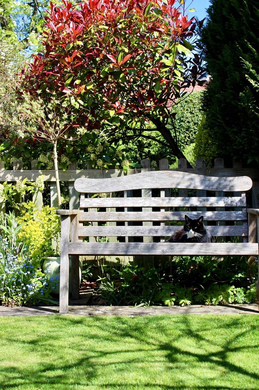 Paysagiste à Libourne réalisant une création de jardin écologique sur mesure