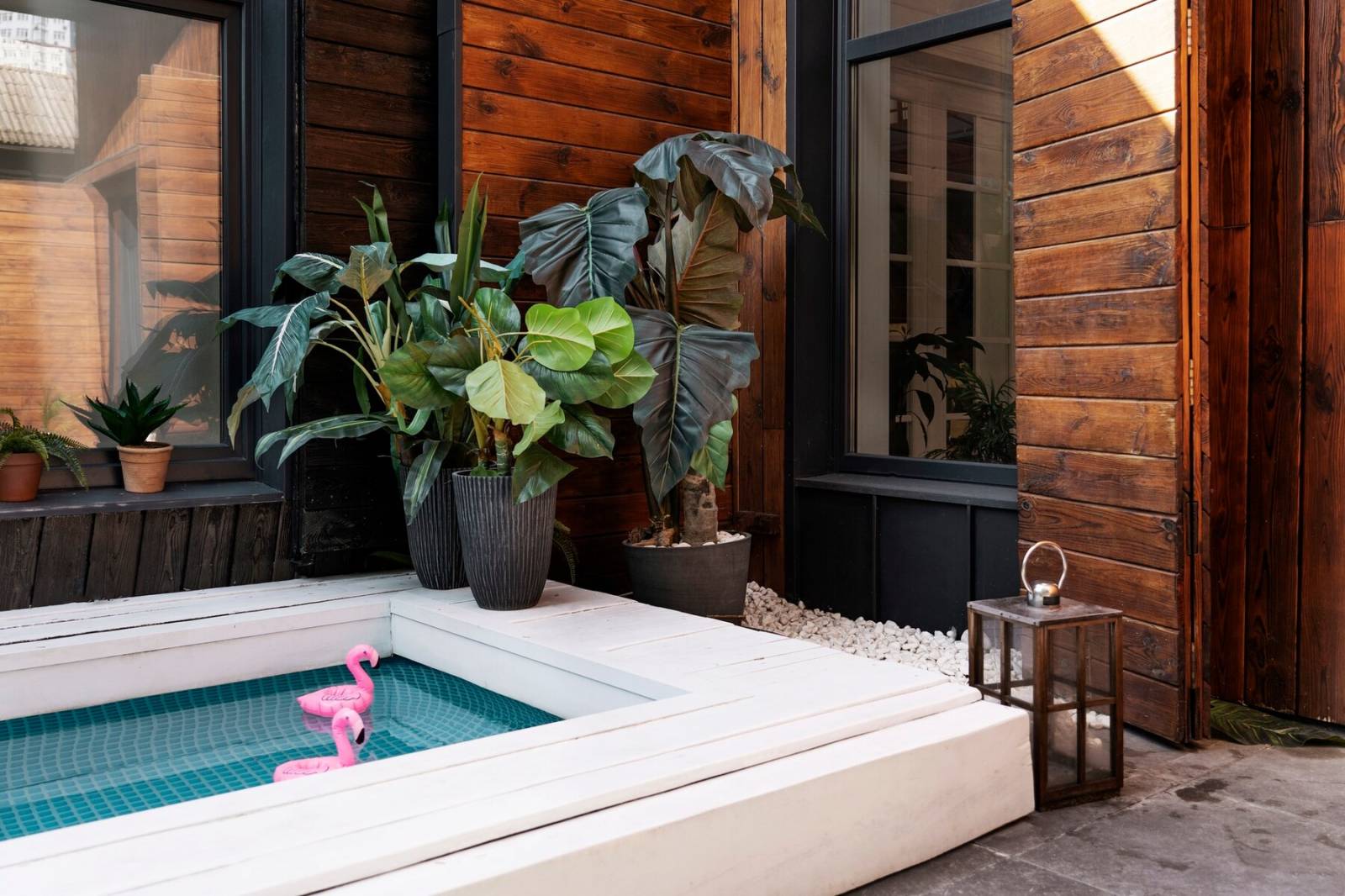 petit jardin de ville ambiance tropicale