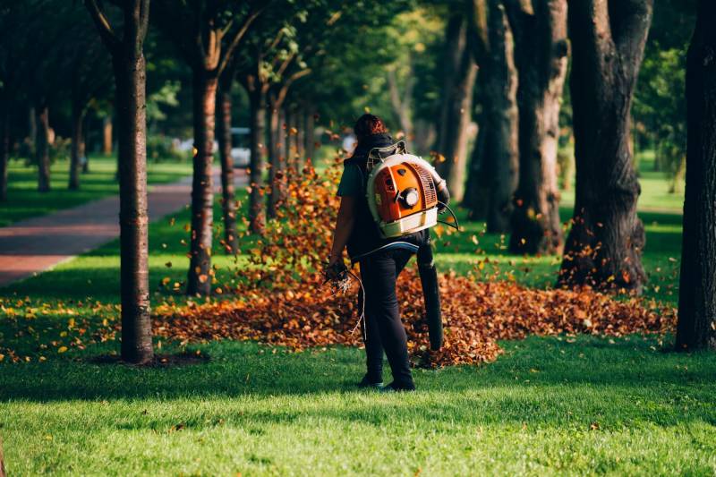 Entretien Expert : Jardins Impeccables à Bordeaux pour une Résidence Exemplaire